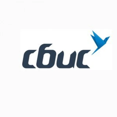 Тензор (СБИС) на 15 месяцев